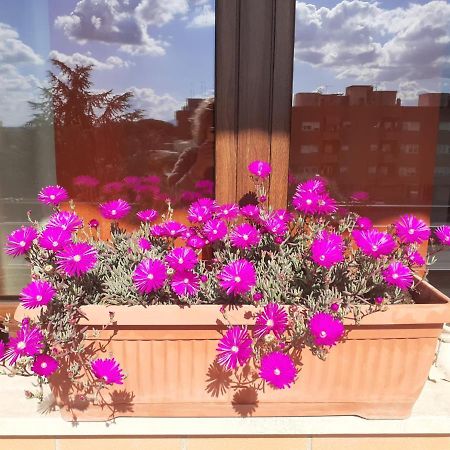 לינה וארוחת בוקר טיבולי טרמה L'Orchidea Di Ale מראה חיצוני תמונה